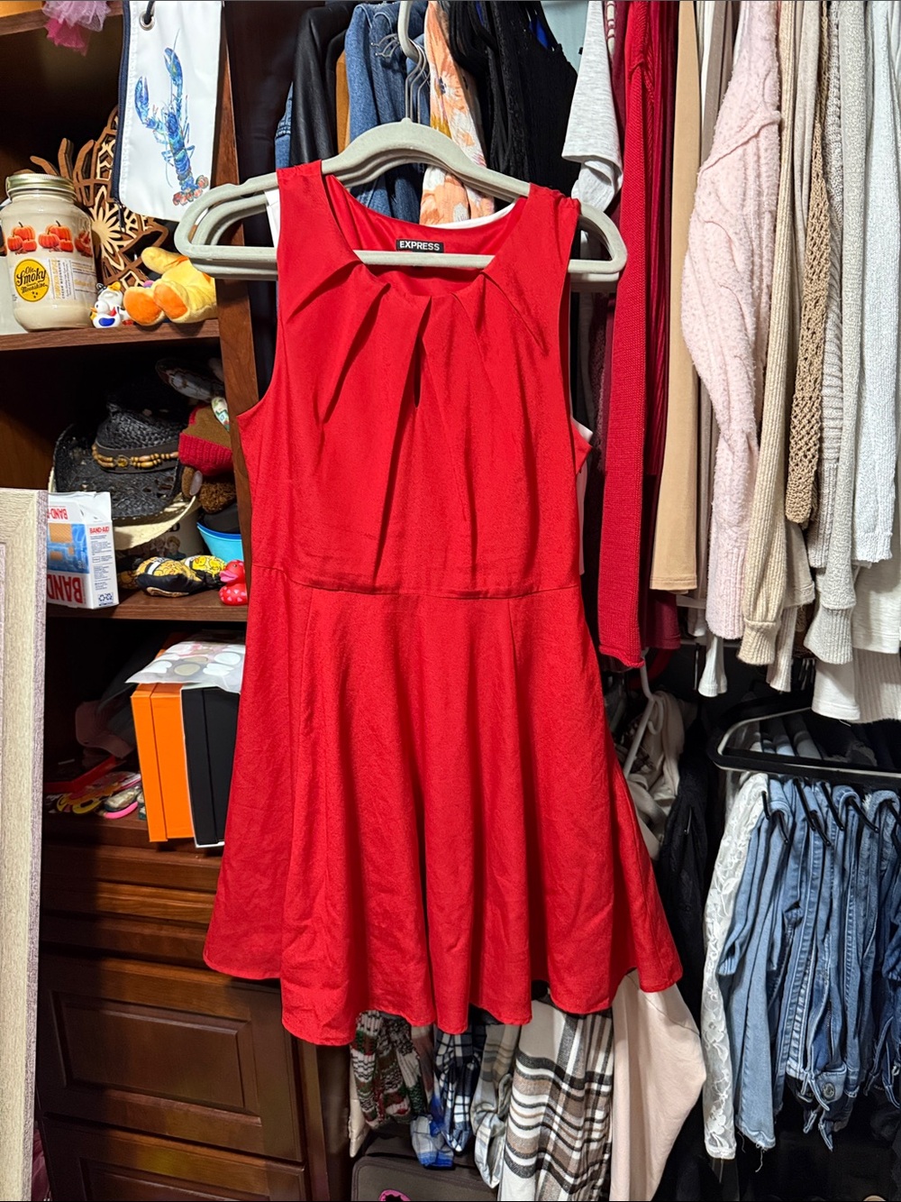 Express Red Sleeveless Pleated Fit-and-Flare Dress